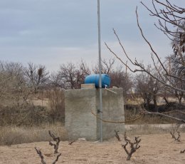   SATILIK BAĞ EVİ TARLA